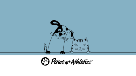 Motion Graphics | Paws Athletics Intro